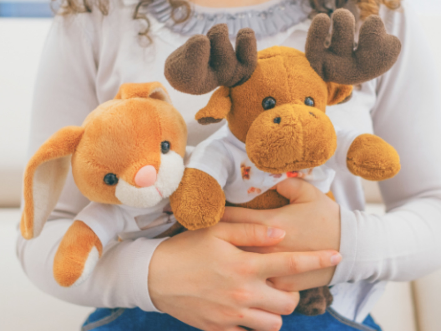 Peluches que cuentan tu historia