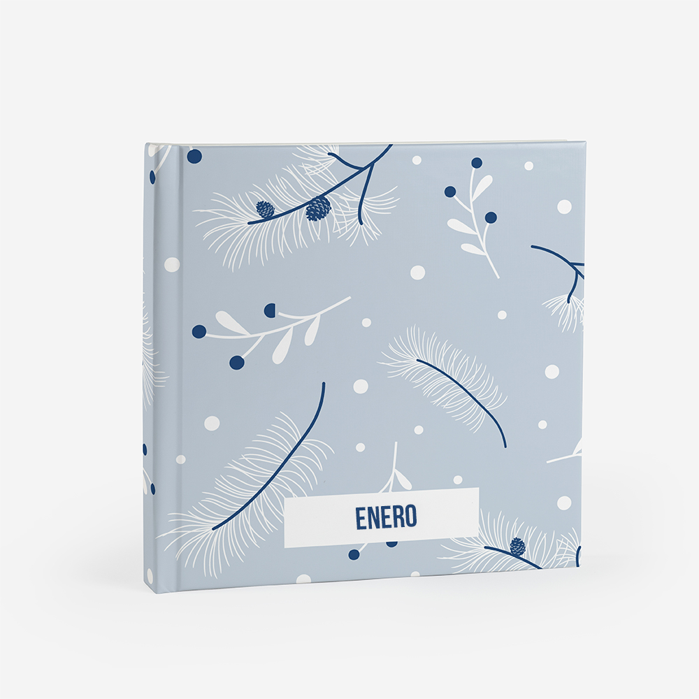 Álbum Enero 3